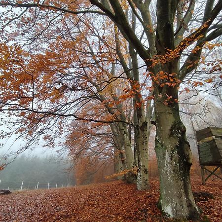 Appartamento Zacisze Pod Bukami Gornica Esterno foto