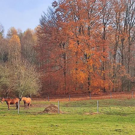 Appartamento Zacisze Pod Bukami Gornica Esterno foto