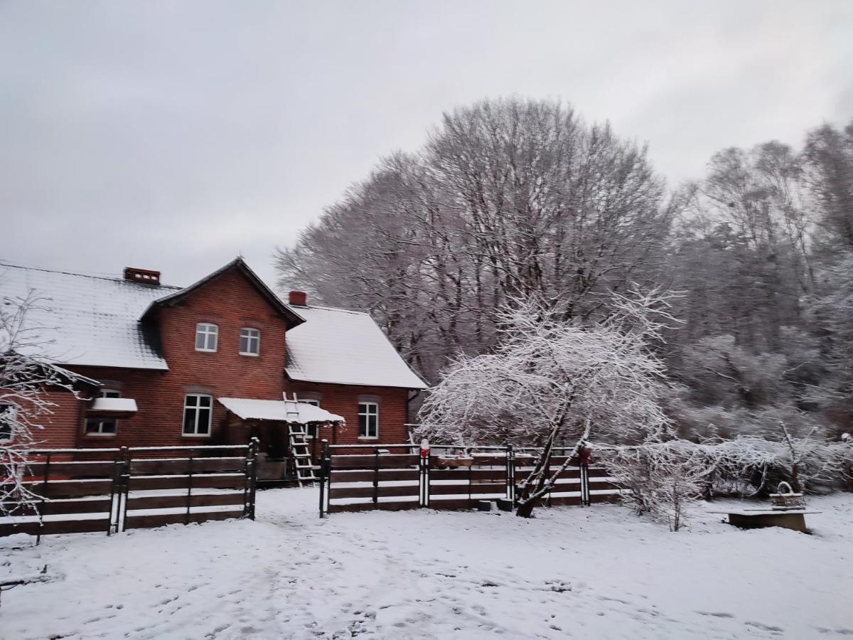 Appartamento Zacisze Pod Bukami Gornica Esterno foto