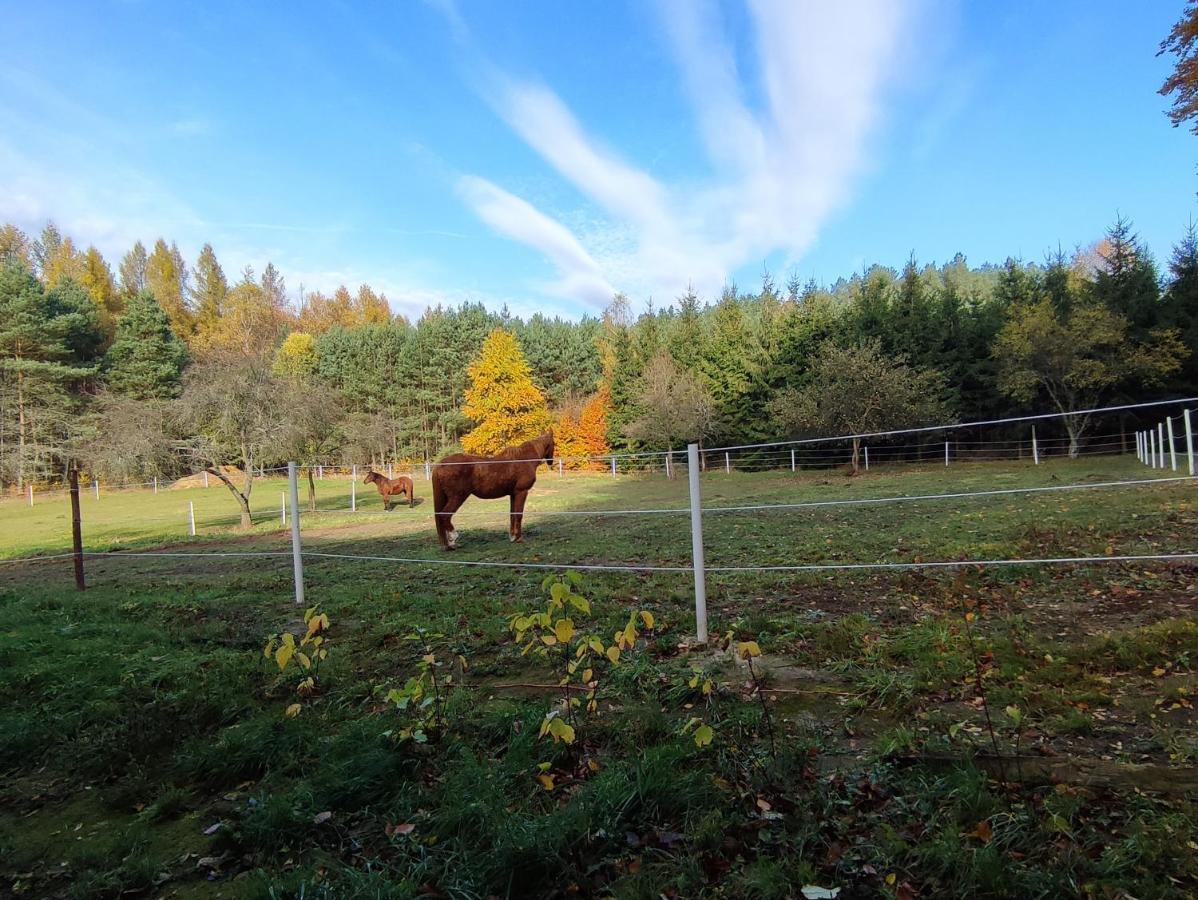 Appartamento Zacisze Pod Bukami Gornica Esterno foto