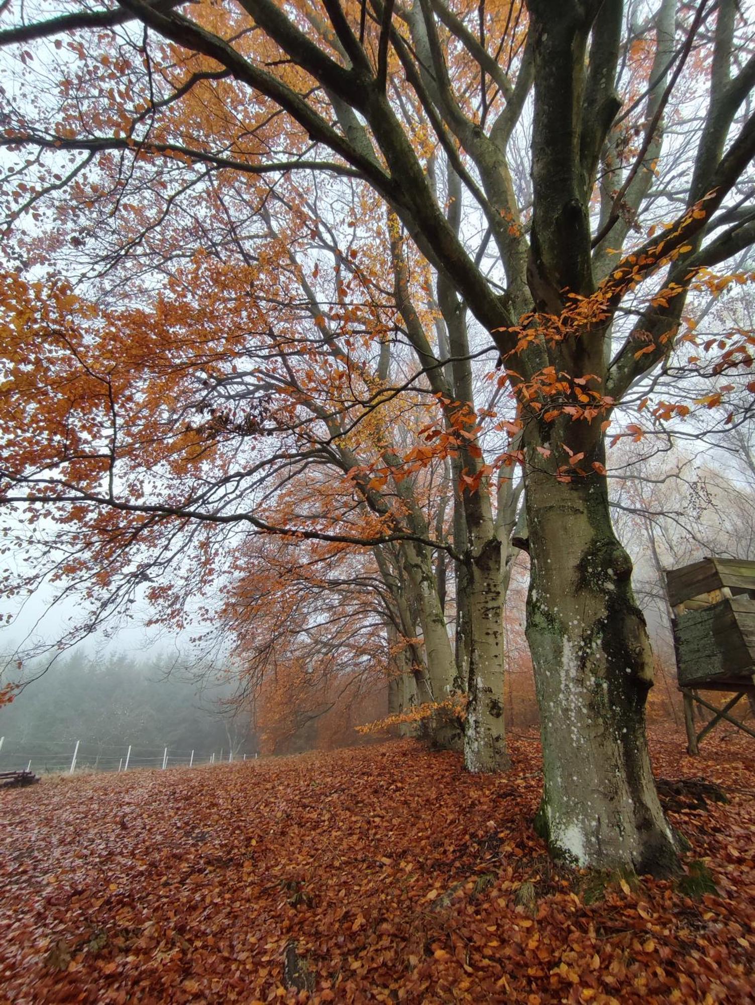 Appartamento Zacisze Pod Bukami Gornica Esterno foto